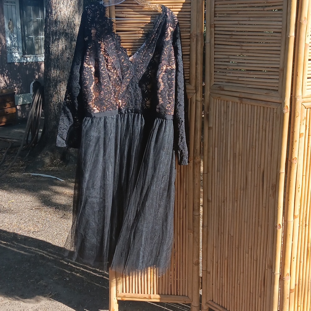 Beautiful lace dress black is black with a shimmering.Light brown silk inside